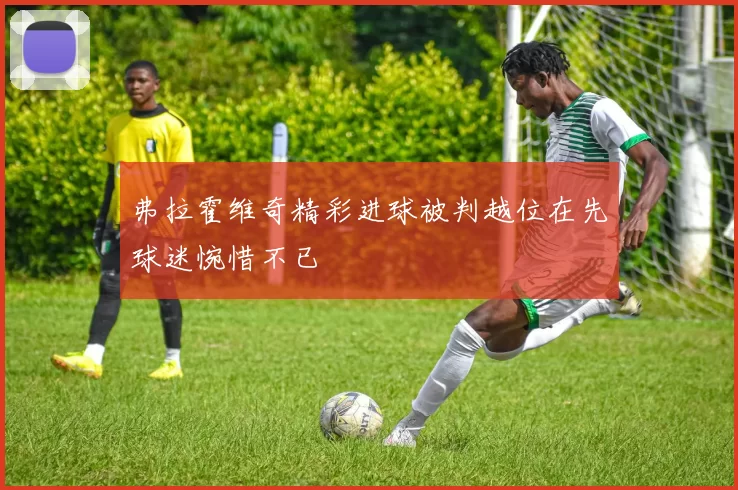 弗拉霍维奇精彩进球被判越位在先球迷惋惜不已